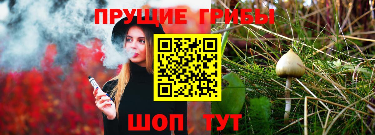 Галлюциногенные грибы мухоморы  Вход с VPN  Гурьевск 